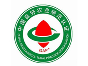 GAP良好农业规范认证咨询